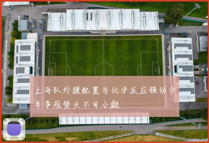 上海队外援配置与化学反应强劲今年争冠势头不可小觑