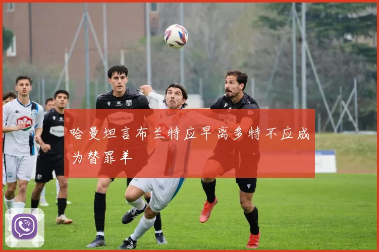 哈曼坦言布兰特应早离多特不应成为替罪羊